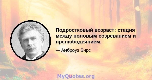 Подростковый возраст: стадия между половым созреванием и прелюбодеянием.