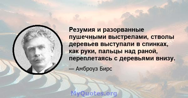 Резумия и разорванные пушечными выстрелами, стволы деревьев выступали в спинках, как руки, пальцы над раной, переплетаясь с деревьями внизу.