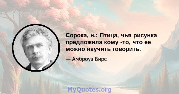 Сорока, н.: Птица, чья рисунка предложила кому -то, что ее можно научить говорить.