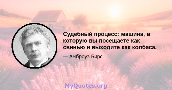 Судебный процесс: машина, в которую вы посещаете как свинью и выходите как колбаса.