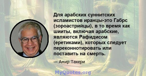 Для арабских суннитских исламистов иранцы-это Габрс (зороастрийцы), в то время как шииты, включая арабские, являются Рафидисом (еретиками), которых следует переконнотировать или поставить на смерть.