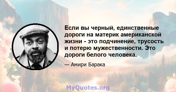 Если вы черный, единственные дороги на материк американской жизни - это подчинение, трусость и потерю мужественности. Это дороги белого человека.