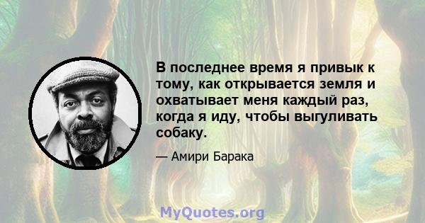 В последнее время я привык к тому, как открывается земля и охватывает меня каждый раз, когда я иду, чтобы выгуливать собаку.