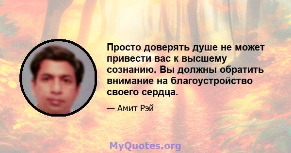 Просто доверять душе не может привести вас к высшему сознанию. Вы должны обратить внимание на благоустройство своего сердца.