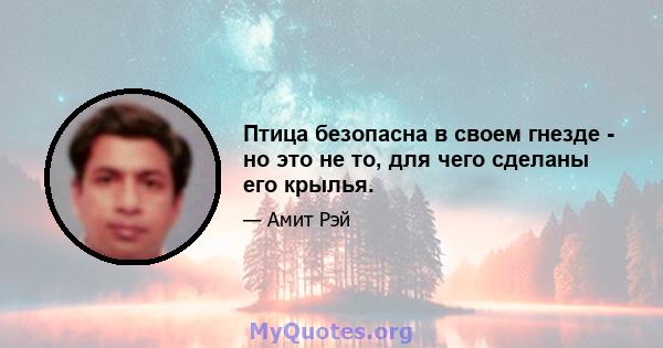 Птица безопасна в своем гнезде - но это не то, для чего сделаны его крылья.