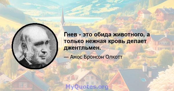 Гнев - это обида животного, а только нежная кровь делает джентльмен.