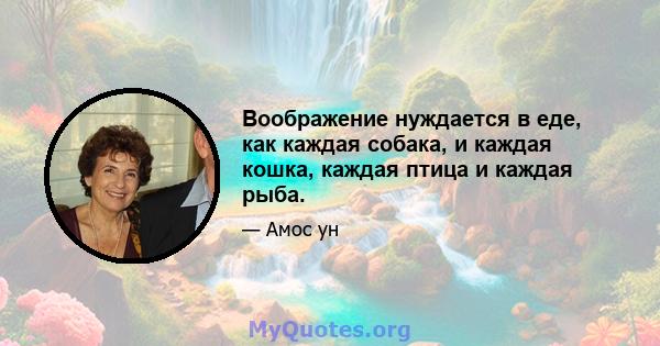 Воображение нуждается в еде, как каждая собака, и каждая кошка, каждая птица и каждая рыба.