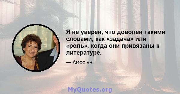 Я не уверен, что доволен такими словами, как «задача» или «роль», когда они привязаны к литературе.