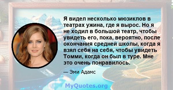 Я видел несколько мюзиклов в театрах ужина, где я вырос. Но я не ходил в большой театр, чтобы увидеть его, пока, вероятно, после окончания средней школы, когда я взял себя на себя, чтобы увидеть Томми, когда он был в