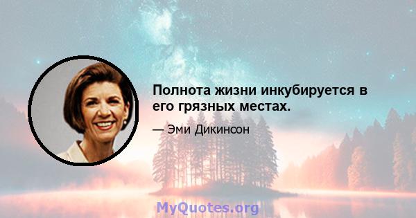 Полнота жизни инкубируется в его грязных местах.