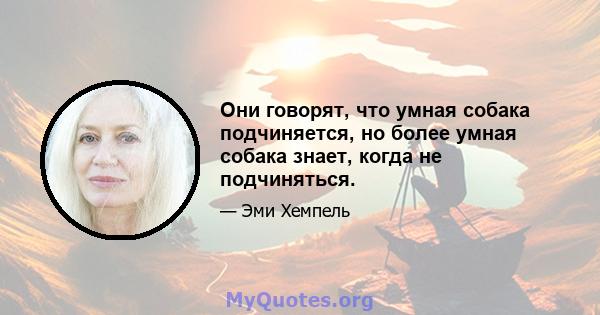 Они говорят, что умная собака подчиняется, но более умная собака знает, когда не подчиняться.