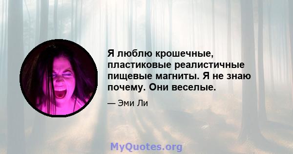 Я люблю крошечные, пластиковые реалистичные пищевые магниты. Я не знаю почему. Они веселые.