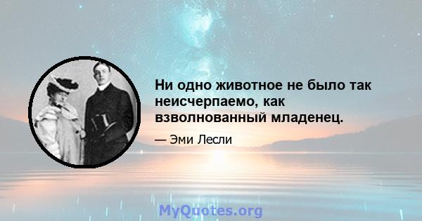 Ни одно животное не было так неисчерпаемо, как взволнованный младенец.