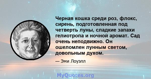 Черная кошка среди роз, флокс, сирень, подготовленная под четверть луны, сладкие запахи гелиотропа и ночной аромат. Сад очень неподвижно. Он ошеломлен лунным светом, довольным духом.