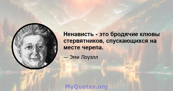 Ненависть - это бродячие клювы стервятников, спускающихся на месте черепа.