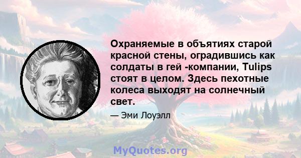 Охраняемые в объятиях старой красной стены, оградившись как солдаты в гей -компании, Tulips стоят в целом. Здесь пехотные колеса выходят на солнечный свет.