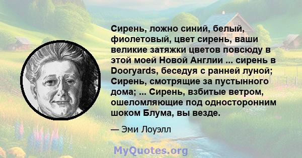 Сирень, ложно синий, белый, фиолетовый, цвет сирень, ваши великие затяжки цветов повсюду в этой моей Новой Англии ... сирень в Dooryards, беседуя с ранней луной; Сирень, смотрящие за пустынного дома; ... Сирень, взбитые 