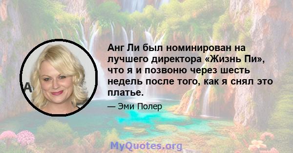 Анг Ли был номинирован на лучшего директора «Жизнь Пи», что я и позвоню через шесть недель после того, как я снял это платье.