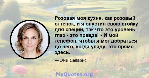 Розовая моя кухня, как розовый оттенок, и я опустил свою стойку для специй, так что это уровень глаз - это правда! - И мой телефон, чтобы я мог добраться до него, когда упаду, это прямо здесь.