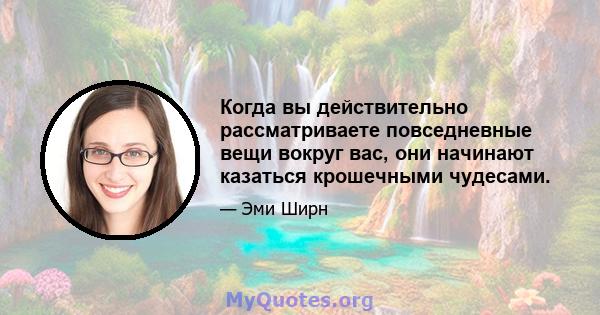 Когда вы действительно рассматриваете повседневные вещи вокруг вас, они начинают казаться крошечными чудесами.