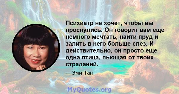 Психиатр не хочет, чтобы вы проснулись. Он говорит вам еще немного мечтать, найти пруд и залить в него больше слез. И действительно, он просто еще одна птица, пьющая от твоих страданий.