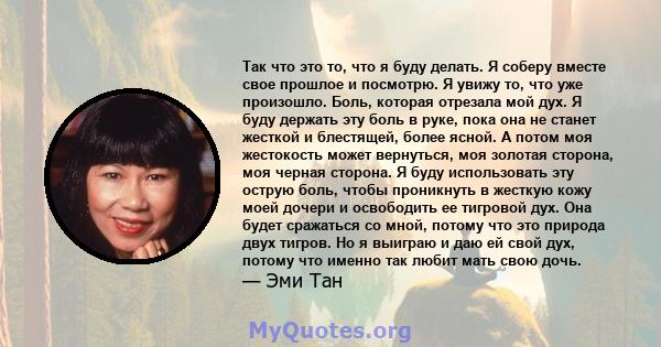 Так что это то, что я буду делать. Я соберу вместе свое прошлое и посмотрю. Я увижу то, что уже произошло. Боль, которая отрезала мой дух. Я буду держать эту боль в руке, пока она не станет жесткой и блестящей, более