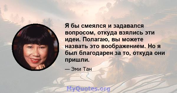 Я бы смеялся и задавался вопросом, откуда взялись эти идеи. Полагаю, вы можете назвать это воображением. Но я был благодарен за то, откуда они пришли.