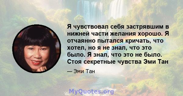 Я чувствовал себя застрявшим в нижней части желания хорошо. Я отчаянно пытался кричать, что хотел, но я не знал, что это было. Я знал, что это не было. Стоя секретные чувства Эми Тан