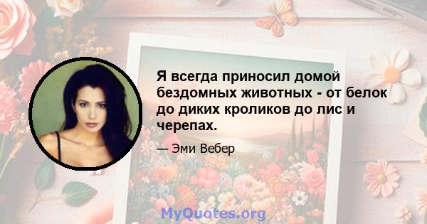 Я всегда приносил домой бездомных животных - от белок до диких кроликов до лис и черепах.