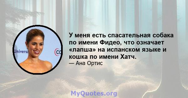 У меня есть спасательная собака по имени Фидео, что означает «лапша» на испанском языке и кошка по имени Хатч.