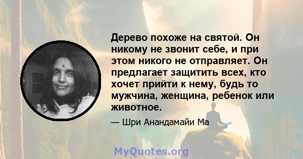 Дерево похоже на святой. Он никому не звонит себе, и при этом никого не отправляет. Он предлагает защитить всех, кто хочет прийти к нему, будь то мужчина, женщина, ребенок или животное.