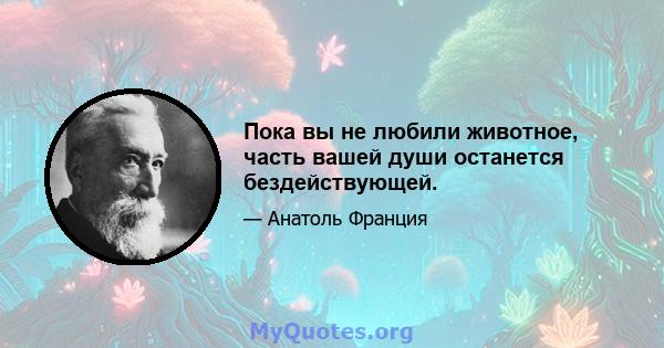 Пока вы не любили животное, часть вашей души останется бездействующей.