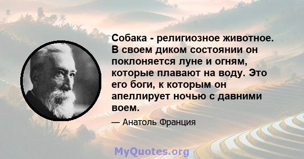 Собака - религиозное животное. В своем диком состоянии он поклоняется луне и огням, которые плавают на воду. Это его боги, к которым он апеллирует ночью с давними воем.