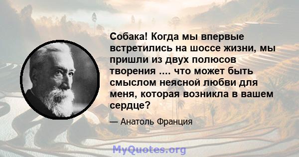 Собака! Когда мы впервые встретились на шоссе жизни, мы пришли из двух полюсов творения .... что может быть смыслом неясной любви для меня, которая возникла в вашем сердце?