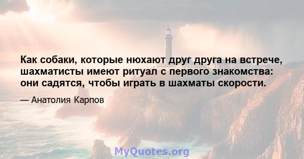 Как собаки, которые нюхают друг друга на встрече, шахматисты имеют ритуал с первого знакомства: они садятся, чтобы играть в шахматы скорости.