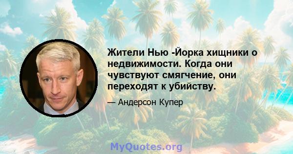 Жители Нью -Йорка хищники о недвижимости. Когда они чувствуют смягчение, они переходят к убийству.