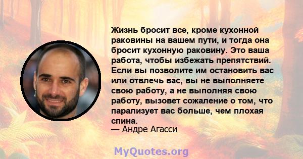 Жизнь бросит все, кроме кухонной раковины на вашем пути, и тогда она бросит кухонную раковину. Это ваша работа, чтобы избежать препятствий. Если вы позволите им остановить вас или отвлечь вас, вы не выполняете свою