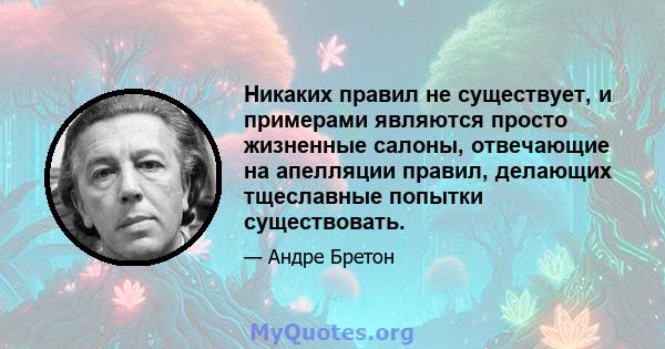 Никаких правил не существует, и примерами являются просто жизненные салоны, отвечающие на апелляции правил, делающих тщеславные попытки существовать.