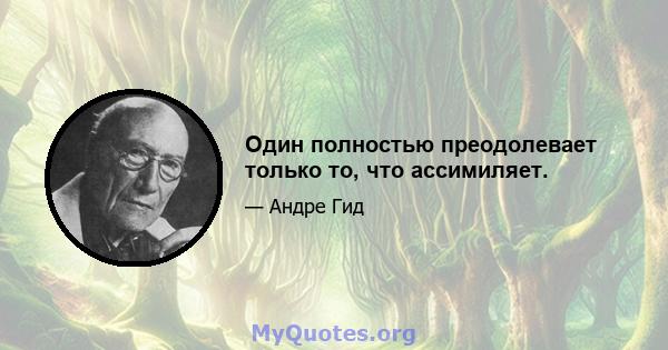 Один полностью преодолевает только то, что ассимиляет.