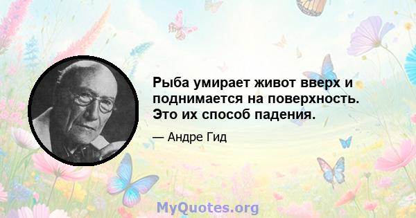 Рыба умирает живот вверх и поднимается на поверхность. Это их способ падения.