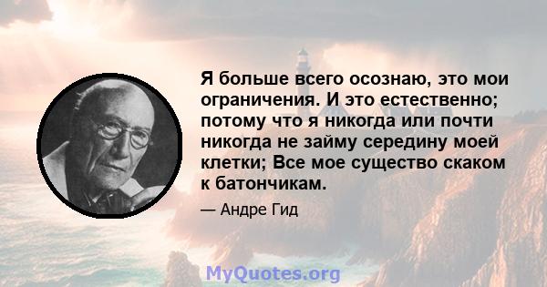 Я больше всего осознаю, это мои ограничения. И это естественно; потому что я никогда или почти никогда не займу середину моей клетки; Все мое существо скаком к батончикам.