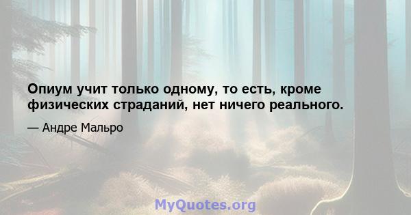 Опиум учит только одному, то есть, кроме физических страданий, нет ничего реального.