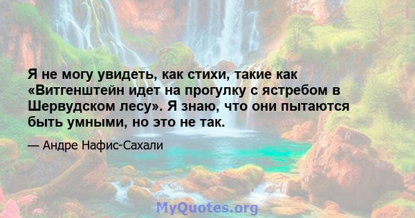 Я не могу увидеть, как стихи, такие как «Витгенштейн идет на прогулку с ястребом в Шервудском лесу». Я знаю, что они пытаются быть умными, но это не так.