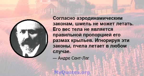 Согласно аэродинамическим законам, шмель не может летать. Его вес тела не является правильной пропорцией его размах крыльев. Игнорируя эти законы, пчела летает в любом случае.