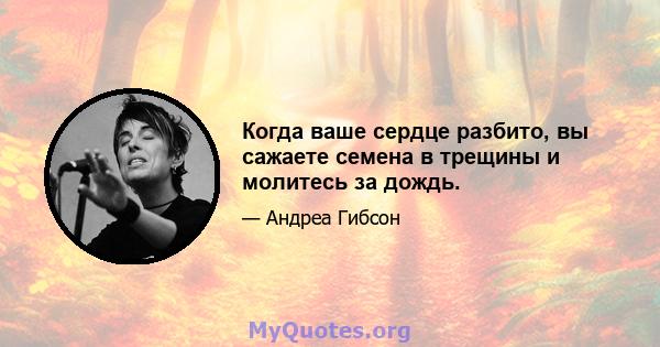 Когда ваше сердце разбито, вы сажаете семена в трещины и молитесь за дождь.