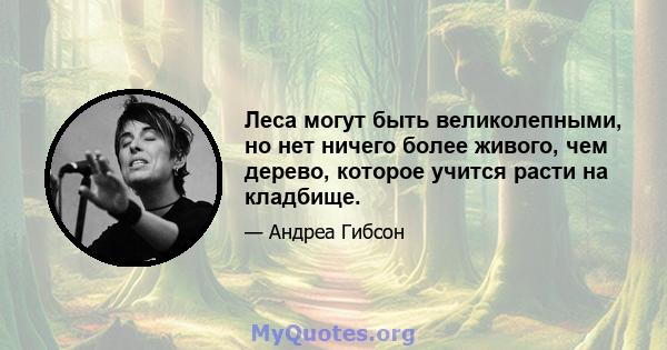 Леса могут быть великолепными, но нет ничего более живого, чем дерево, которое учится расти на кладбище.