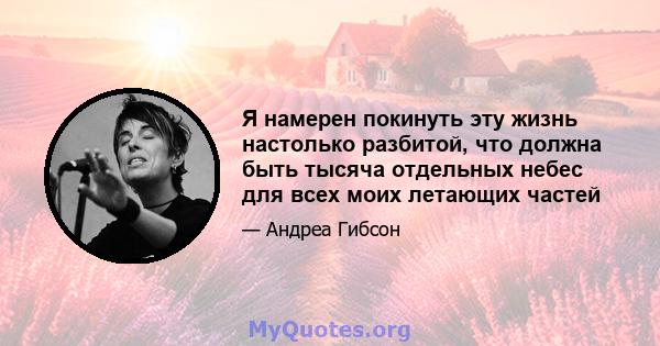 Я намерен покинуть эту жизнь настолько разбитой, что должна быть тысяча отдельных небес для всех моих летающих частей