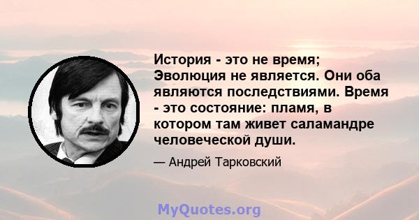 История - это не время; Эволюция не является. Они оба являются последствиями. Время - это состояние: пламя, в котором там живет саламандре человеческой души.