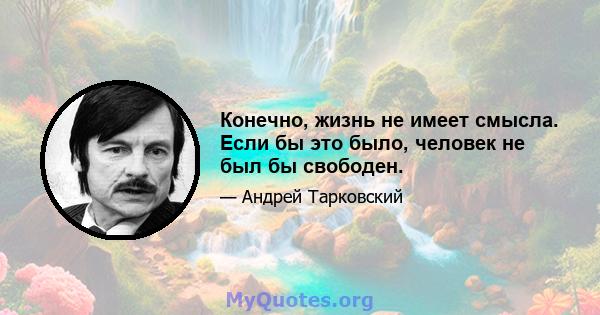 Конечно, жизнь не имеет смысла. Если бы это было, человек не был бы свободен.