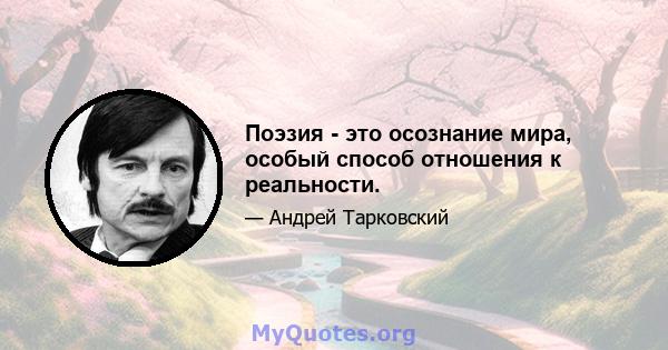 Поэзия - это осознание мира, особый способ отношения к реальности.